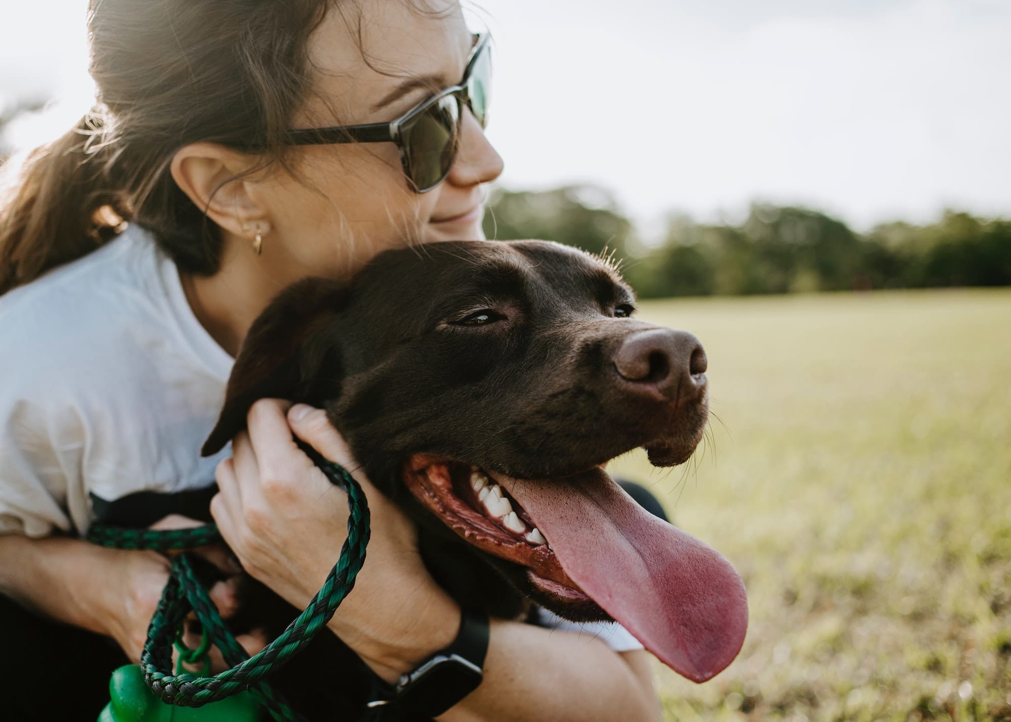 12 Tips for a first time dog owner